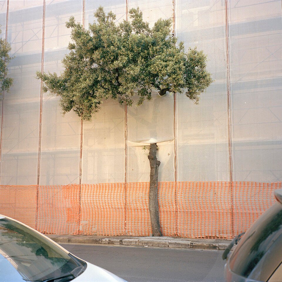 Insieme - Edition of 10 